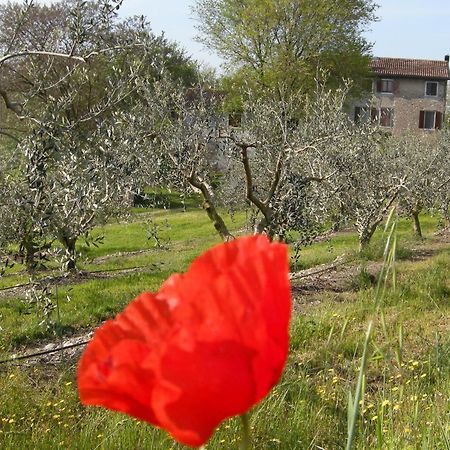 I Vigneti Bed & Breakfast Salionze Bagian luar foto